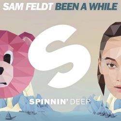 Pochette Sam Feldt - Been A While (Extended Mix)