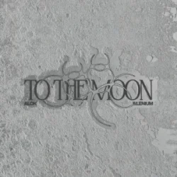 Pochette Alok & ILLENIUM - To The Moon