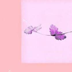 Pochette Alina Orlova - Einu