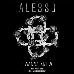 Pochette Alesso feat. Nico & Vinz - I Wanna Know (Alesso & Deniz Koyu Remix)