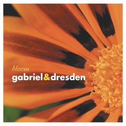 Pochette Gabriel & Dresden - Lament