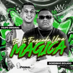 Pochette Gordinho Bolado & felipe original - Eu Tô Fazendo uma Mágica