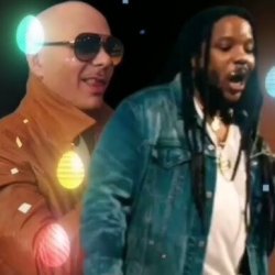 Pochette Pitbull feat. Stephen Marley - Options