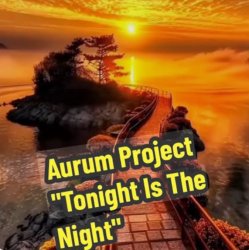 Pochette Aurum Project - Tonight Is The Night