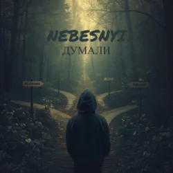 Pochette Nebesnyi - ДУМАЛИ