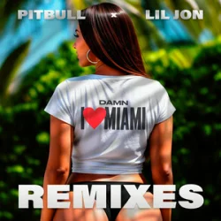 Pochette Pitbull & Lil Jon - Damn I Love Miami (DJ Laz Miami Bass Remix & DJ Julian & Danny D)