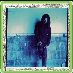 Pochette Andru Donalds - Mishale
