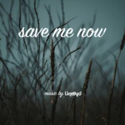 Pochette LiQWYD - Save me now
