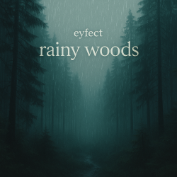 Pochette eyfect - rainy woods