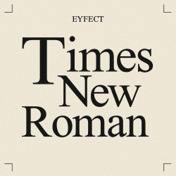 Pochette Times New Roman