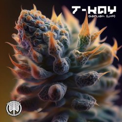 Pochette T-Kay - Ganjah VIP (Original Mix)