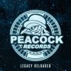 Pochette Dr. Peacock & Hyrule War - Imagination (Original Mix) Dr. Peacock & Hyrule War - Imagination (Original Mix)