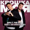 Pochette DAVA feat. Руки Вверх - Крошка моя DAVA feat. Руки Вверх - Крошка моя