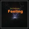 Pochette Serj Yudchenko - Feeling Serj Yudchenko - Feeling