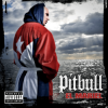 Pochette Pitbull - Come See Me Pitbull - Come See Me