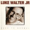 Pochette Luke Walter Jr - As The Crow Flies Luke Walter Jr - As The Crow Flies