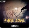 Pochette DNDM - Fake Love DNDM - Fake Love