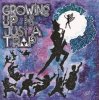 Pochette St. Petersburg Ska-Jazz Review - Growing Up Is Just a Trap St. Petersburg Ska-Jazz Review - Growing Up Is Just a Trap