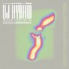 DJ Hybrid - Arcadia