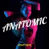 Pochette Sedat Oğul - Anatomic Sedat Oğul - Anatomic