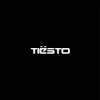 Pochette Tiësto & FORS - Bring Me To Life Tiësto & FORS - Bring Me To Life