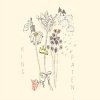 Pochette Holly Henry - Citrus Holly Henry - Citrus
