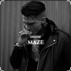 Pochette DNDM - Maze