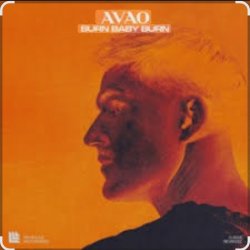 Pochette AVAO - Burn Baby Burn (Extended Mix)