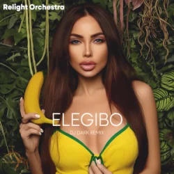 Pochette Relight Orchestra - Elegibo (Dj Dark Remix)