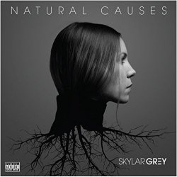 Pochette Skylar Grey - Jump