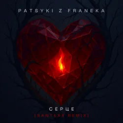 Pochette PATSYKI Z FRANEKA - Серце (santexx remix)