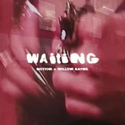 Pochette NOTION & Willow Kayne - WAITING