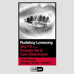 Pochette Shy FX feat. Sweetie Irie and Cara Delevingne - Shy FX (Remixes)
