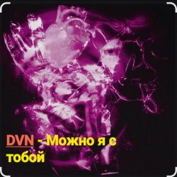 Pochette DVN - Можно я с тобой