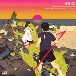 Pochette GRiZ ft. Muzzy Bearr - Summer 97