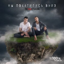 Pochette Те100стерон - Мы покатились вниз