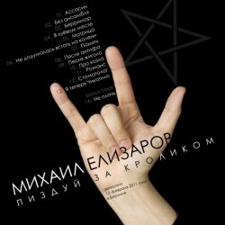 Pochette Михаил Елизаров - Ассасин