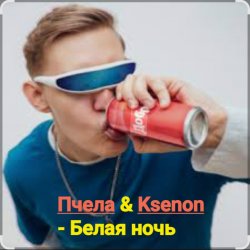 Pochette Пчела & Ksenon - Белая ночь