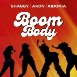 Pochette Shaggy & Akon & Aidonia - Boom Body