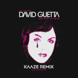 Pochette David Guetta & Chris Willis - Love Don't Let Me Go (KAAZE Remix)