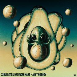 Pochette 22Bullets & DJs From Mars - Ain't Nobody