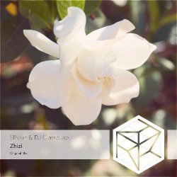 Pochette DJ Classbuse & SINKin - Zhizi (Extended Mix)