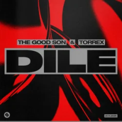 Pochette The Good Son & TORREX - Dile