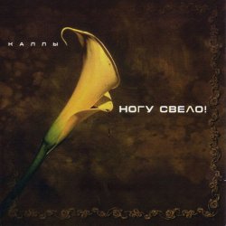 Pochette Ногу свело! - Ave Maria