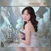 Pochette Chen Shu Ying - Don't Remember the Old Dreams Chen Shu Ying - Don't Remember the Old Dreams