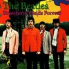 Pochette The Beatles - Strawberry Fields Forever The Beatles - Strawberry Fields Forever