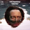 Pochette Thundercat - Friend Zone Thundercat - Friend Zone