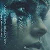 Pochette Alex Van Sanders & Alexara - Winter Melody Alex Van Sanders & Alexara - Winter Melody