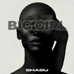 Pochette SHADU - Boom Boom