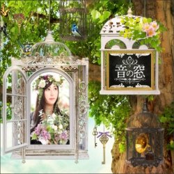 Pochette Akiko Shikata - Kuuhaku no Mori